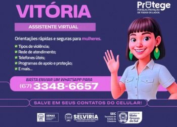 Vitória: Assistente virtual auxilia mulheres em situação de violência
