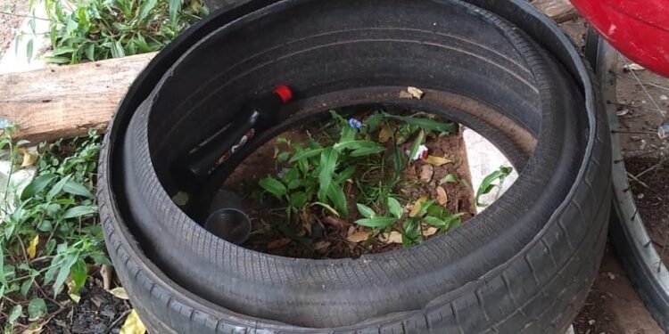 Vigilância Epidemiológica alerta para aumento de criadouros da dengue em Ilha Solteira